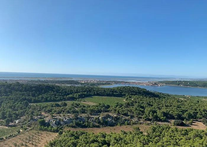 Apartamento Pleine Vue Sur Port Gruissan